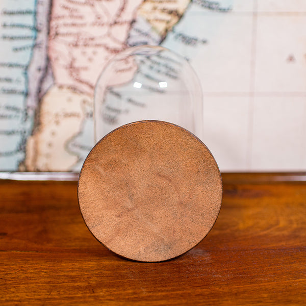 Small Antique Display Dome, English, Glass, Specimen Showcase, Edwardian, C.1910