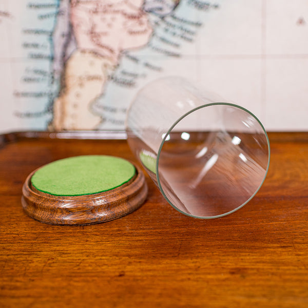Small Antique Display Dome, English, Glass, Specimen Showcase, Edwardian, C.1910