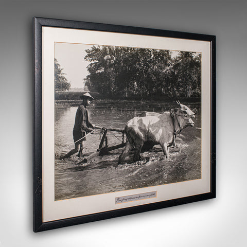 Vintage Photograph, Rural Indonesia, Oriental, Monochrome, Java, Mid Century