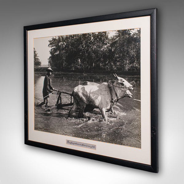 Vintage Photograph, Rural Indonesia, Oriental, Monochrome, Java, Mid Century