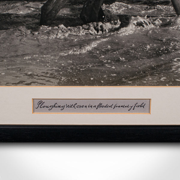 Vintage Photograph, Rural Indonesia, Oriental, Monochrome, Java, Mid Century