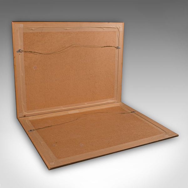 Pair of Antique Duck Pictures, Framed Wildlife Art Prints, Lithograph, Victorian