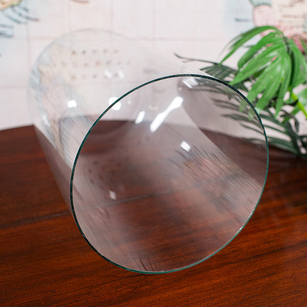 Antique Victorian Display Dome, English, Glass, Taxidermy Showcase, Collectors