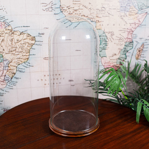 Antique Victorian Display Dome, English, Glass, Taxidermy Showcase, Collectors