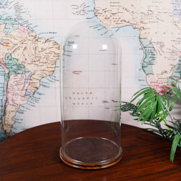 Antique Victorian Display Dome, English, Glass, Taxidermy Showcase, Collectors