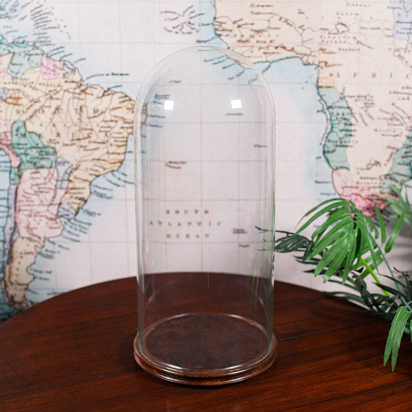 Antique Victorian Display Dome, English, Glass, Taxidermy Showcase, Collectors