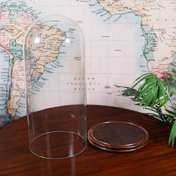 Antique Victorian Display Dome, English, Glass, Taxidermy Showcase, Collectors