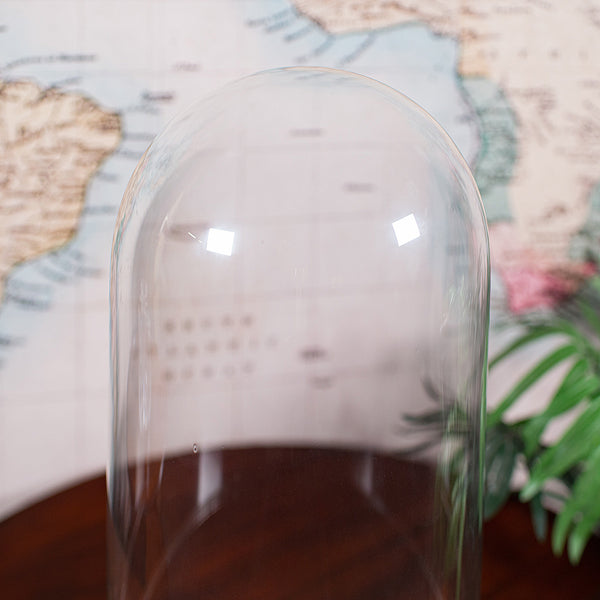 Antique Victorian Display Dome, English, Glass, Taxidermy Showcase, Collectors