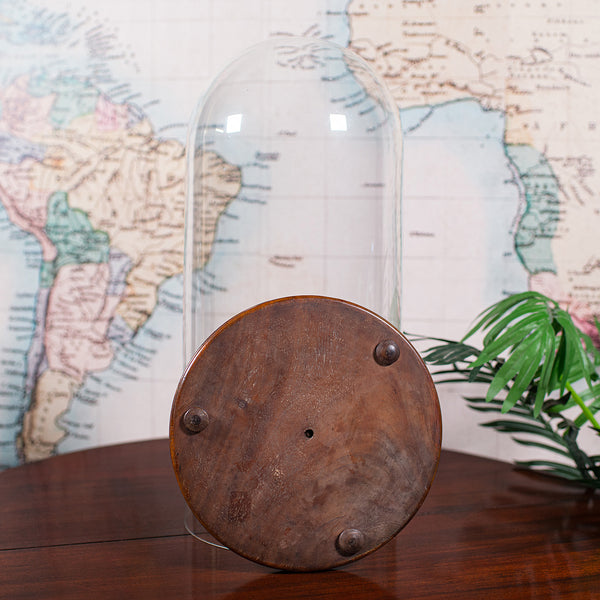 Antique Victorian Display Dome, English, Glass, Taxidermy Showcase, Collectors