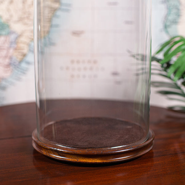 Antique Victorian Display Dome, English, Glass, Taxidermy Showcase, Collectors