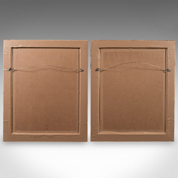 Pair of Vintage Botanical Pictures, Framed Print, After Besler, Art, Circa 1980