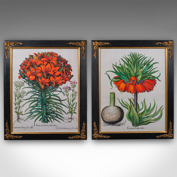 Pair of Vintage Botanical Pictures, Framed Print, After Besler, Art, Circa 1980