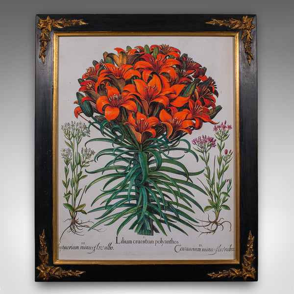 Pair of Vintage Botanical Pictures, Framed Print, After Besler, Art, Circa 1980