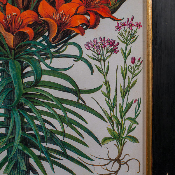 Pair of Vintage Botanical Pictures, Framed Print, After Besler, Art, Circa 1980