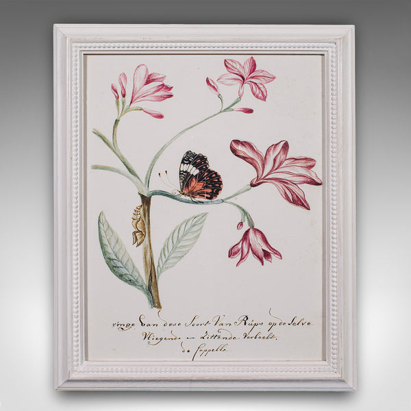 4 Vintage Botanical Pictures, Framed Print, Plant Illustrations, Natural Art - London Fine Antiques