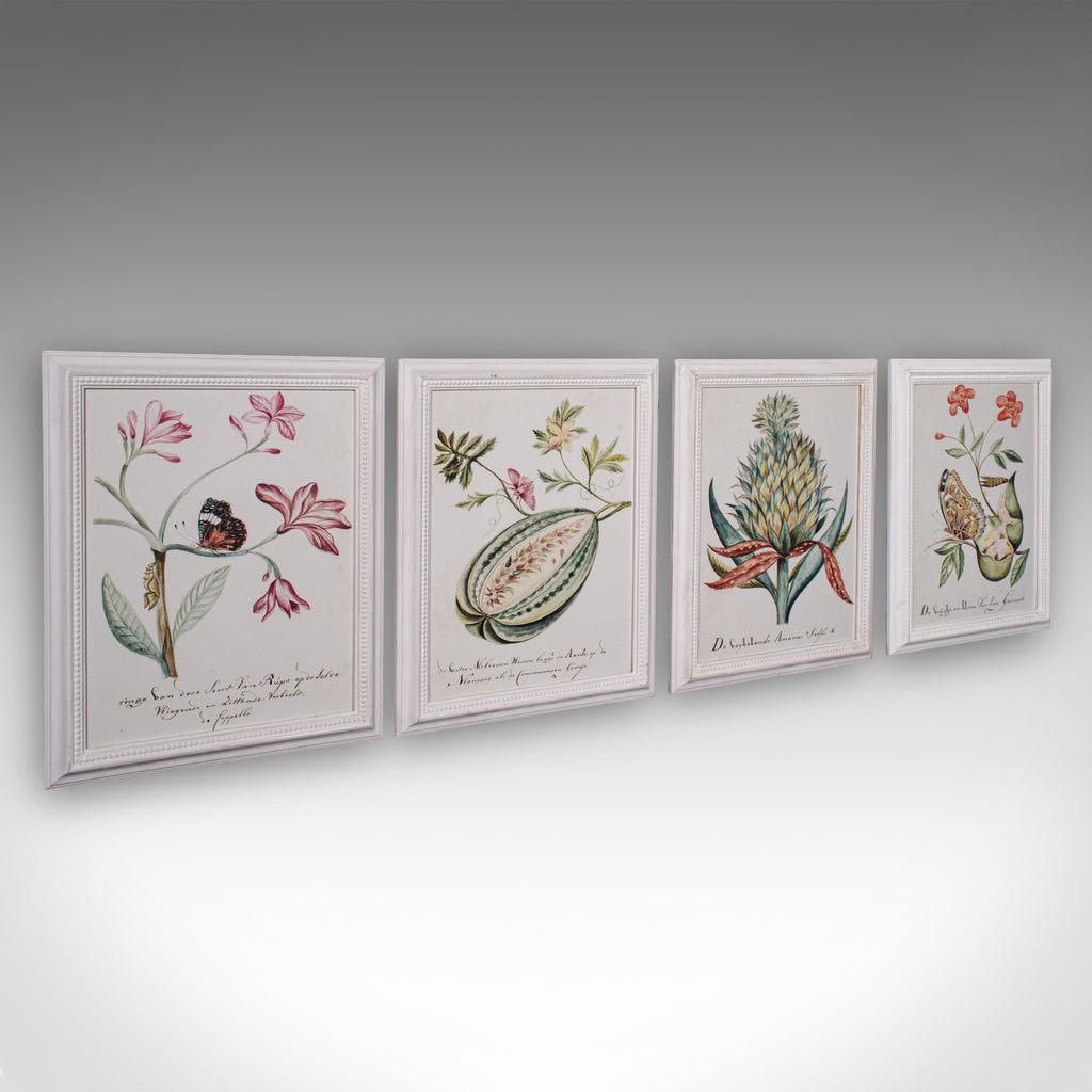 4 Vintage Botanical Pictures, Framed Print, Plant Illustrations, Natural Art - London Fine Antiques