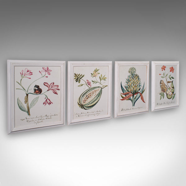 4 Vintage Botanical Pictures, Framed Print, Plant Illustrations, Natural Art - London Fine Antiques