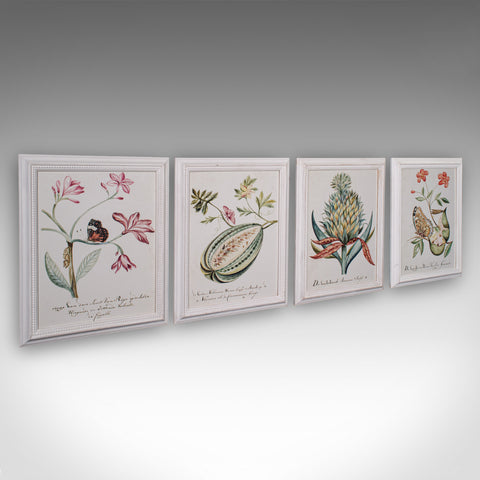 4 Vintage Botanical Pictures, Framed Print, Plant Illustrations, Natural Art