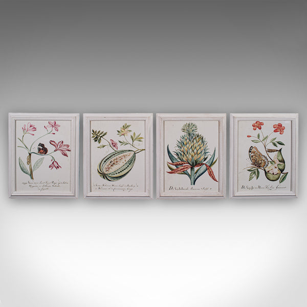 4 Vintage Botanical Pictures, Framed Print, Plant Illustrations, Natural Art - London Fine Antiques