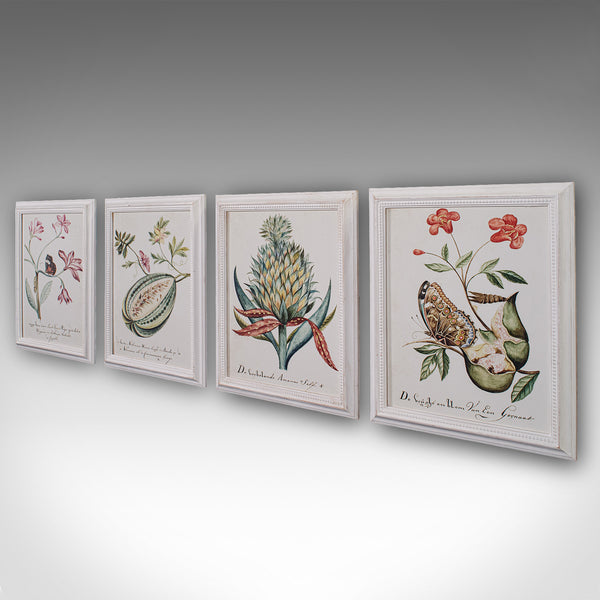 4 Vintage Botanical Pictures, Framed Print, Plant Illustrations, Natural Art - London Fine Antiques