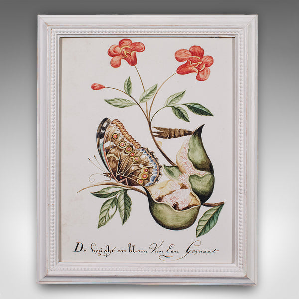 4 Vintage Botanical Pictures, Framed Print, Plant Illustrations, Natural Art - London Fine Antiques