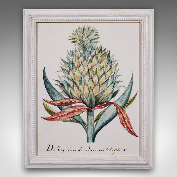 4 Vintage Botanical Pictures, Framed Print, Plant Illustrations, Natural Art - London Fine Antiques