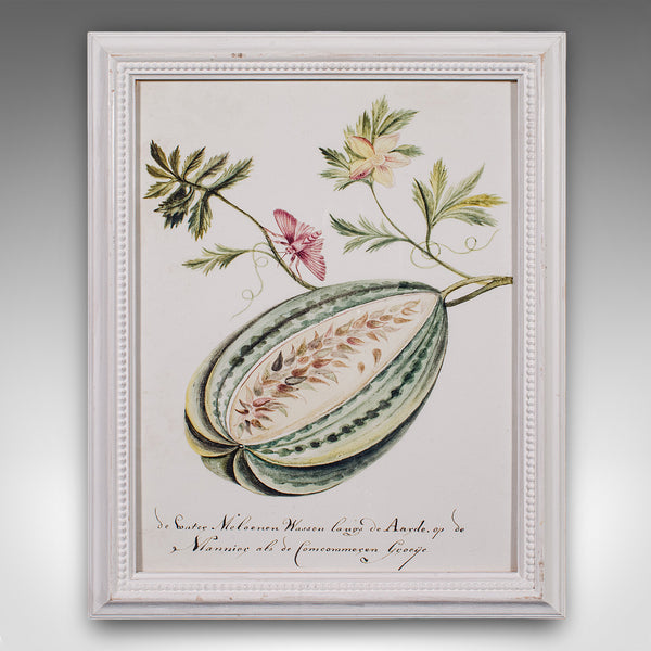 4 Vintage Botanical Pictures, Framed Print, Plant Illustrations, Natural Art - London Fine Antiques