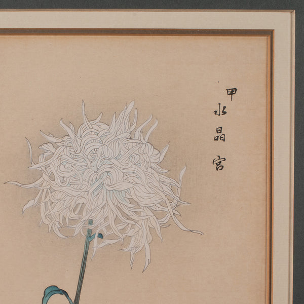 3 Vintage Botanical Pictures, Japanese, Woodblock Print, After Hasegawa, Art - London Fine Antiques