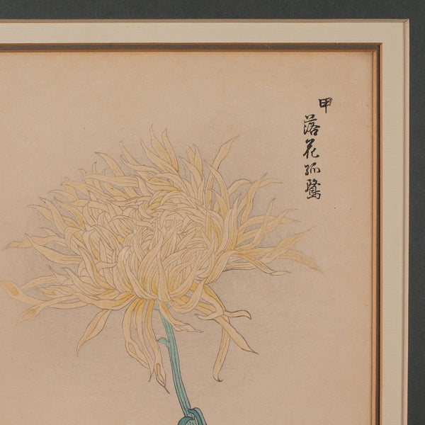 3 Vintage Botanical Pictures, Japanese, Woodblock Print, After Hasegawa, Art - London Fine Antiques