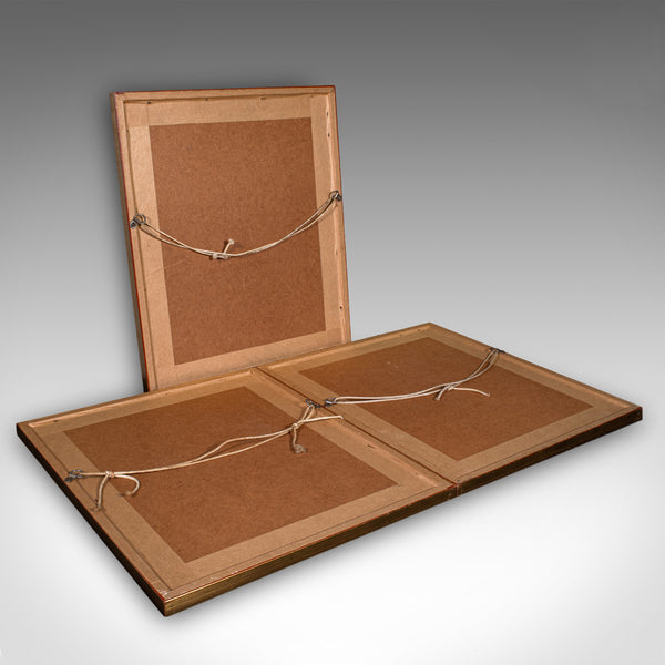 3 Vintage Botanical Pictures, Japanese, Woodblock Print, After Hasegawa, Art - London Fine Antiques