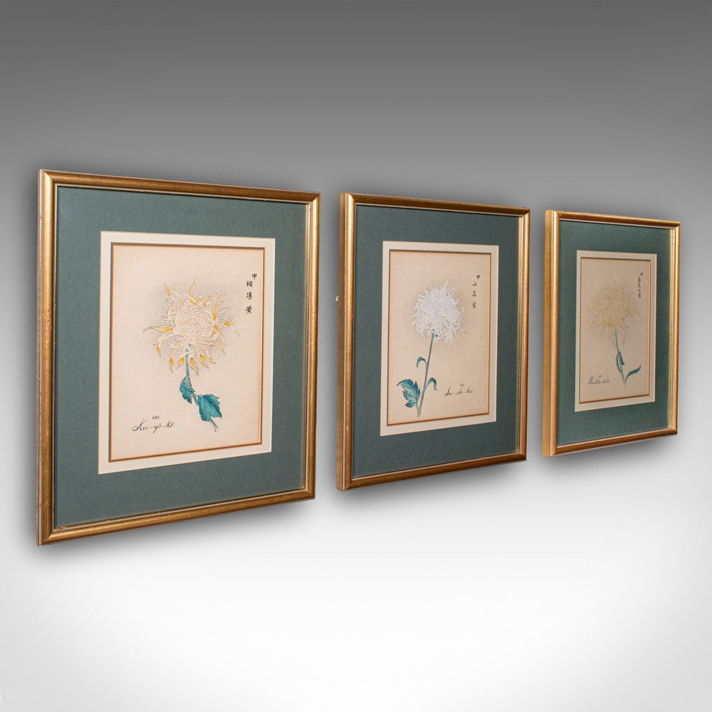 3 Vintage Botanical Pictures, Japanese, Woodblock Print, After Hasegawa, Art - London Fine Antiques