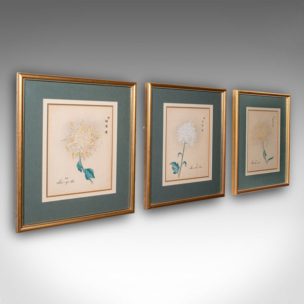 3 Vintage Botanical Pictures, Japanese, Woodblock Print, After Hasegawa, Art - London Fine Antiques