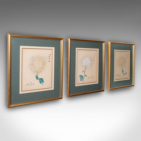 3 Vintage Botanical Pictures, Japanese, Woodblock Print, After Hasegawa, Art