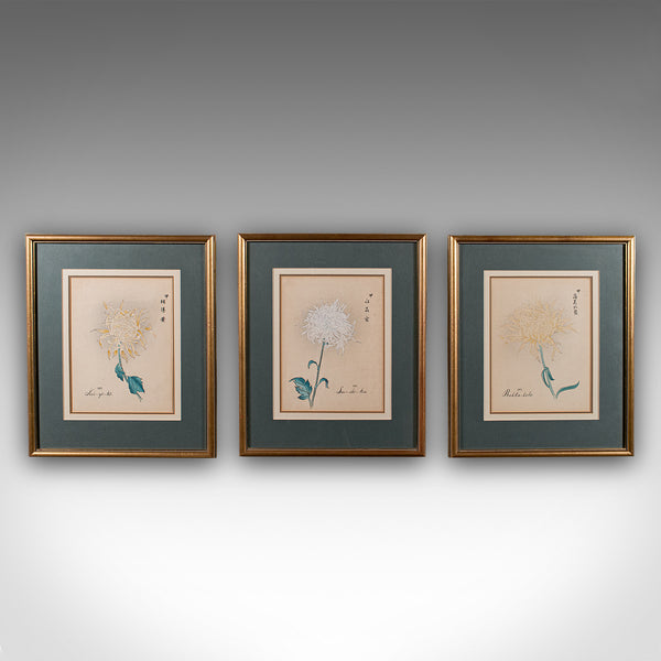 3 Vintage Botanical Pictures, Japanese, Woodblock Print, After Hasegawa, Art - London Fine Antiques
