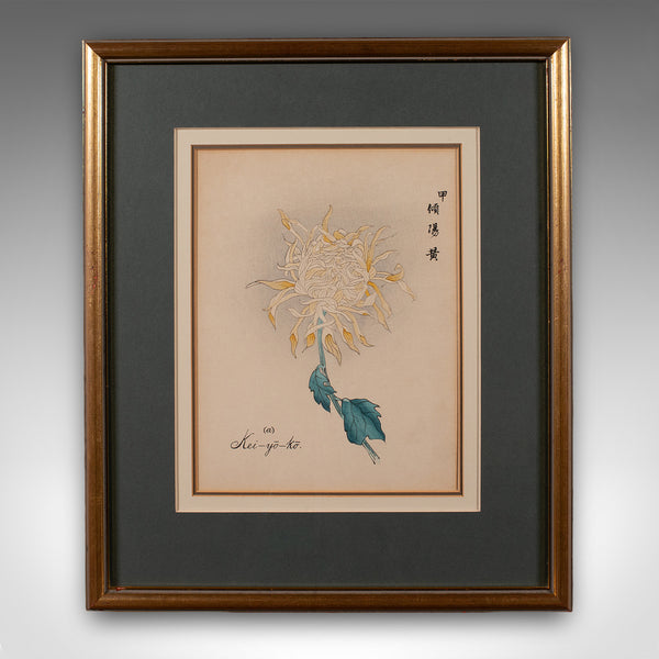 3 Vintage Botanical Pictures, Japanese, Woodblock Print, After Hasegawa, Art - London Fine Antiques
