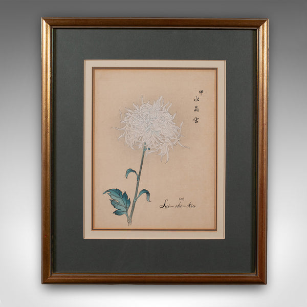 3 Vintage Botanical Pictures, Japanese, Woodblock Print, After Hasegawa, Art - London Fine Antiques
