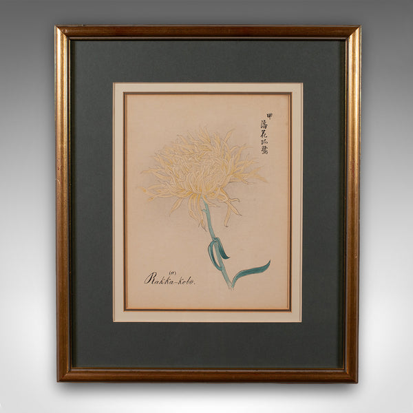 3 Vintage Botanical Pictures, Japanese, Woodblock Print, After Hasegawa, Art - London Fine Antiques