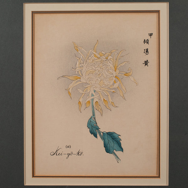 3 Vintage Botanical Pictures, Japanese, Woodblock Print, After Hasegawa, Art - London Fine Antiques