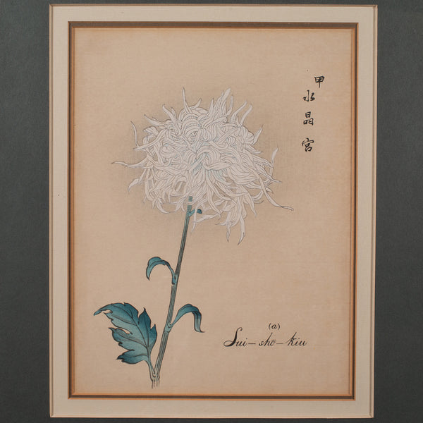 3 Vintage Botanical Pictures, Japanese, Woodblock Print, After Hasegawa, Art - London Fine Antiques