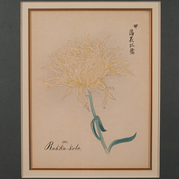3 Vintage Botanical Pictures, Japanese, Woodblock Print, After Hasegawa, Art - London Fine Antiques