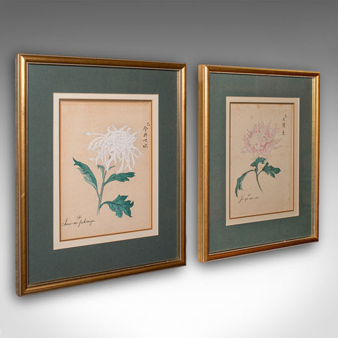 2 Vintage Botanical Pictures, Japanese, Woodblock Print, After Hasegawa, Art
