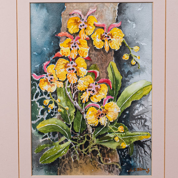 Set of 4 Vintage Botanical Watercolour Pictures, Malaysian Art, Orchids, Framed