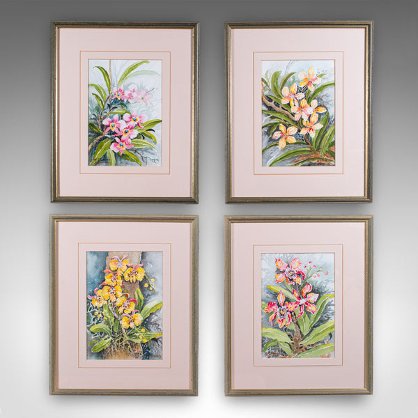 Set of 4 Vintage Botanical Watercolour Pictures, Malaysian Art, Orchids, Framed