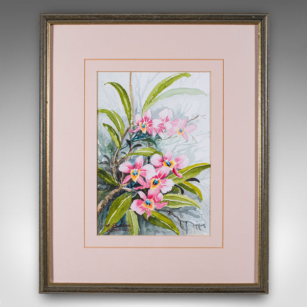 Set of 4 Vintage Botanical Watercolour Pictures, Malaysian Art, Orchids, Framed