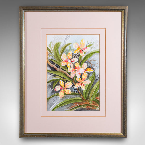Set of 4 Vintage Botanical Watercolour Pictures, Malaysian Art, Orchids, Framed