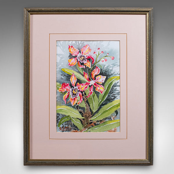Set of 4 Vintage Botanical Watercolour Pictures, Malaysian Art, Orchids, Framed