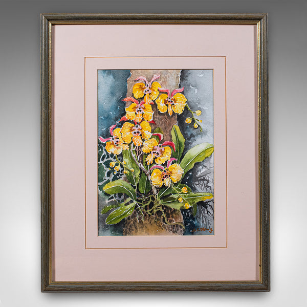 Set of 4 Vintage Botanical Watercolour Pictures, Malaysian Art, Orchids, Framed