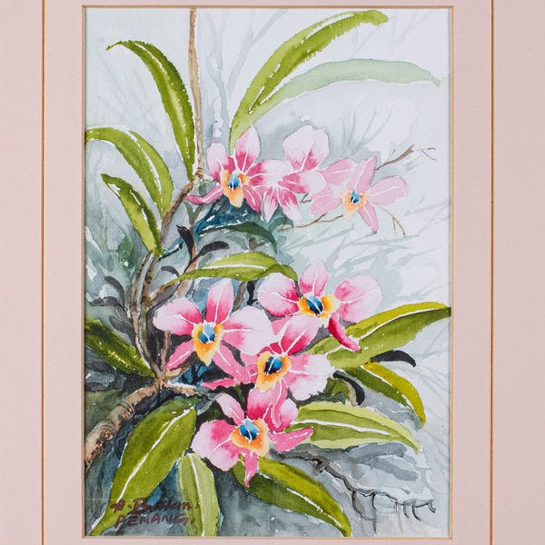 Set of 4 Vintage Botanical Watercolour Pictures, Malaysian Art, Orchids, Framed