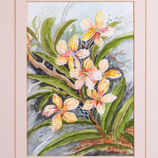 Set of 4 Vintage Botanical Watercolour Pictures, Malaysian Art, Orchids, Framed