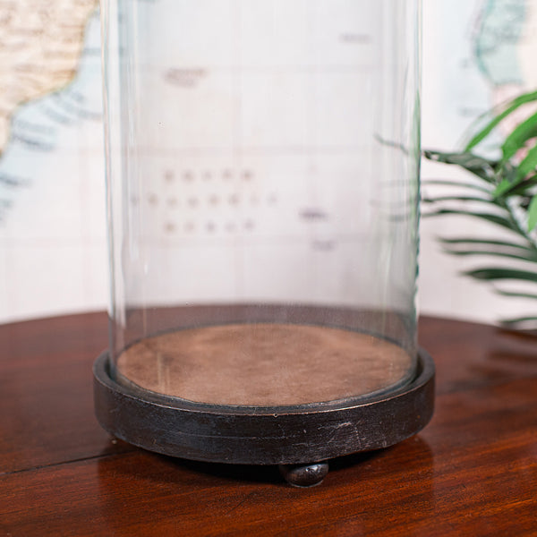 Tall Antique Victorian Taxidermy Dome, English, Glass Collector's Showcase, 1900